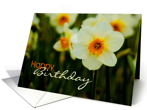 Daffodil card (363809)