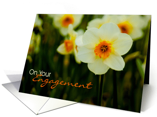 Daffodil card (363810)
