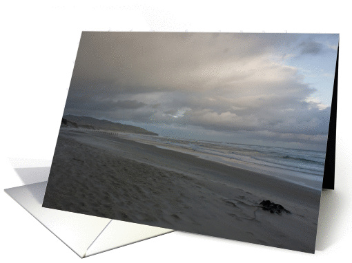 Dunedin Beach Dusk card (367568)
