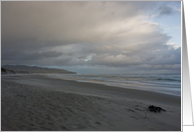 Dunedin Beach Dusk card