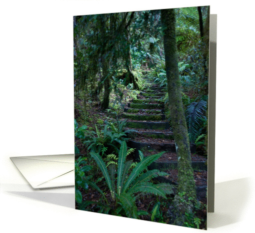 Rainforest card (368142)