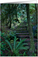Rainforest card