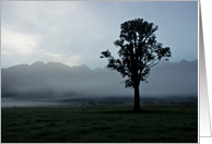 Morning Mist card