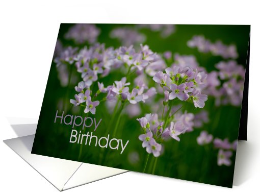 Cuckoo Flowers card (414634)