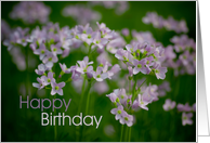 Cuckoo Flowers card