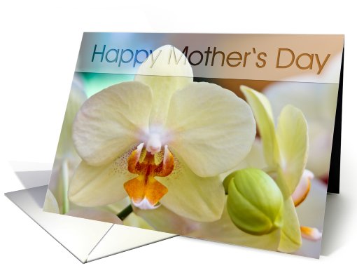 Orchid card (414670)