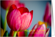 Rote Tulpen card