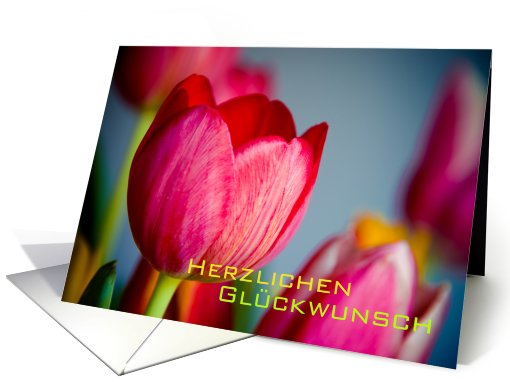 Rote Tulpen card (416783)