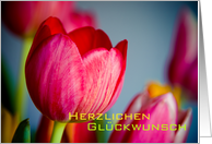 Rote Tulpen card