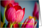 Red Tulip card