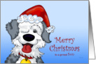 Sheepdog’s Christmas - for Son card