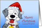 Sheepdog’s Christmas - for Daughter card