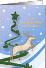 Across the Miles - Reindeer + Holiday Tree card