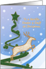 Doctor + Staff - Reindeer + Holiday Tree card