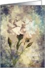 Mother’s Day - Carnation Vintage Style card