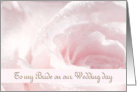 To my Bride - Wife - Wedding Day - Pastel Rose - Romantic card