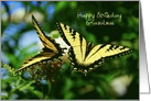 Happy Birthday Grandmother - Swallowtail Butterflies card