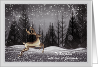 Christmas - Son - Woodland Deer at Night card