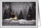 Christmas - Brother + Family - Deer in the Night Forest card