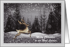 Christmas - Mail Carrier - Deer in the Night Forest card