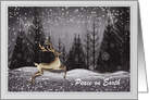 Christmas - Peace on Earth - Deer in the Night Forest card