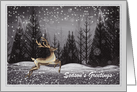 Christmas -To Anyone - Deer in the Night Forest card