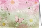 Birthday - Feminine Daises + Butterfly card