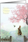 Easter - Granddaughter - Rabbit + Hummingbird - Springtime card