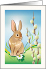 Easter - Anyone - Rabbit + Pussy Willow - No front Text card