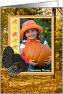 Thanksgiving Turkey in the woods and foliage Photo Card