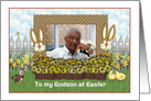 Godson - Easter Bunny Scene Photo card