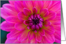 Mother’s Day - Bright Pink Flower - Photography card