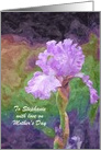 Mother’s Day - Bearded Iris - Oil Paintng card