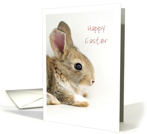 Easter Baby Bunny - Frame-able - Customizable card (578991)