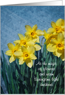Easter - Springtime Daffodils card