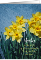 Easter - Mother - Springtime Daffodils card