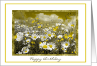 Birthday Daisy’s Yellow and White card