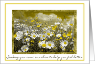 Get well soon feel better Daisy’s card