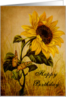 Birthday - Sunflower and Butterfly - Vintage Style card