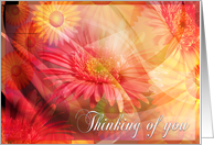 Thinking of you Floral Multi Color card