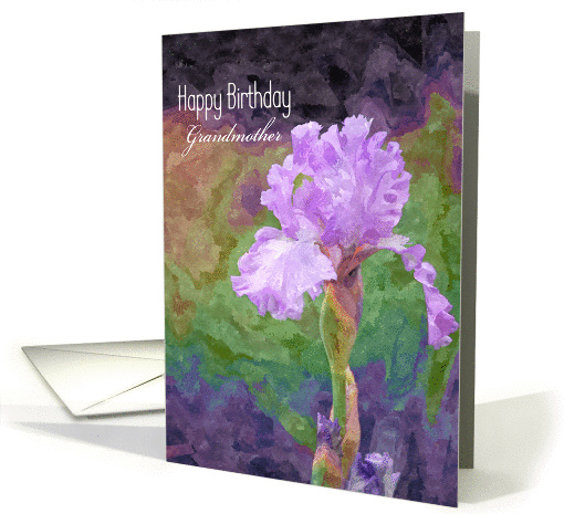 Birthday - Grandmother - Bearded Iris - Oil Painting card (599903)