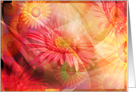 Blank Note Card Floral Multi Color Blank card