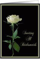 Bridesmaid Bachelorette Party Invitation Single Cream Rose card