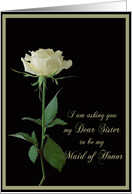 Maid of Honor Request Sister Single Cream Rose card