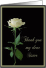 Thank You For Being In My Wedding Sister Single Cream Rose card