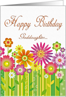 Happy Birthday Goddaughter Flowers Multi Color card