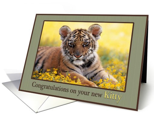 Congratulations New Cat Young Tiger Field of Yellow Flowers card