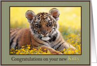 Congratulations New Cat Young Tiger Field of Yellow Flowers card
