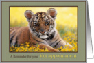 Veterinary Appointment Reminder Young Tiger Field of Yellow Flowers card