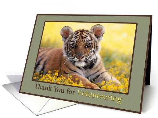 Thank You Volunteer Young Tiger Field of Yellow Flowers card (626649)